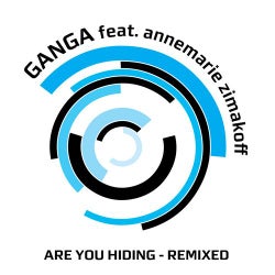 Are You Hiding (Remixed)