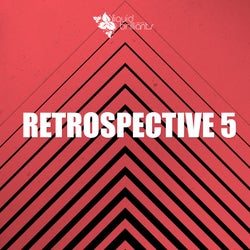 Retrospective 5