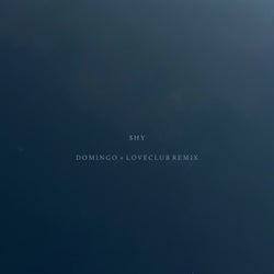 Shy (Domingo+ & Loveclub Remix)
