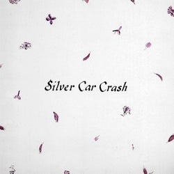Silver Car Crash