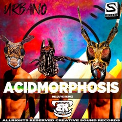 Acidmorphosis