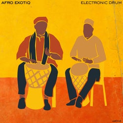 Electronic Drum