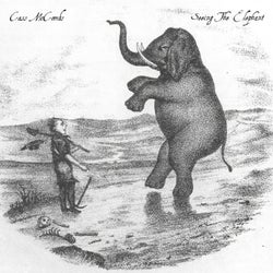 Seeing The Elephant