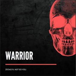 Warrior (feat. Not So You)