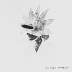 Whiteout