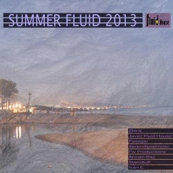 Summer Fluid 2013