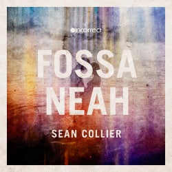 Fossa / Neah EP