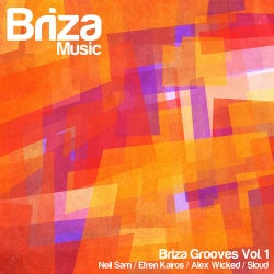 Briza Grooves Vol.1