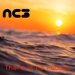 There Is No Reason