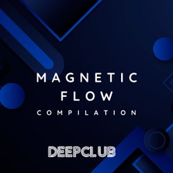 Magnetic Flow