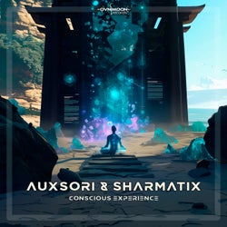 Conscious Experience