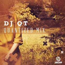 Quantized Mix