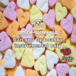 Can you fly Boabby INSTRUMENTAL