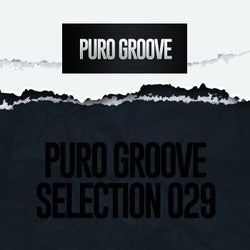 Puro Groove Selection 029