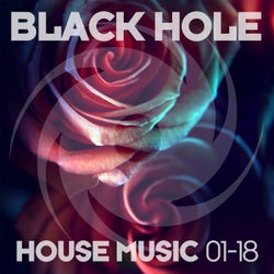 Black Hole House Music 01-18