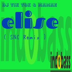 Elise ( SNC Remix )