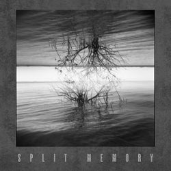 Split Memory