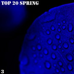 TOP 20 Spring, Vol. 3