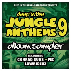 Deep In The Jungle Anthems 9 - LP Sampler