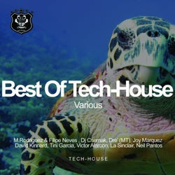 Best Of Tech-House