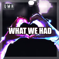 What We Had (Radio Edit)