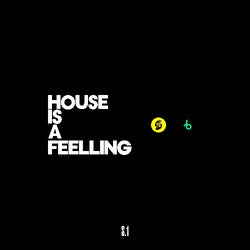 House Is A Feeling S.1
