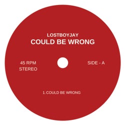 COULD BE WRONG (Extended Mix)