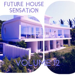 Future House Sensation, Vol.12 (BEST SELECTION OF CLUBBING HOUSE TRACKS)