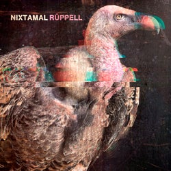 Ruppell