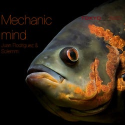 Mechanic Mind