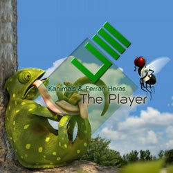 The Player