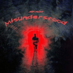 Misunderstood