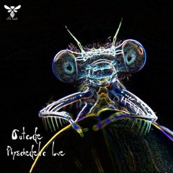 Physchedelic Love