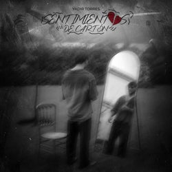 Sentimientos De Cartón