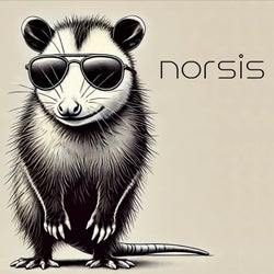 Norsis