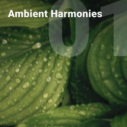 Ambient Harmonies Vol. 1