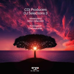 DJ Selections 3