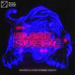 Black Suede (Extended Mix)
