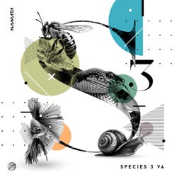 Species 3