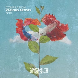 Organica Records Compilation 01