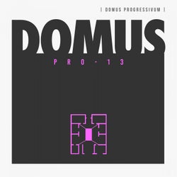 Domus Pro 13