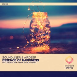 Essence of Happiness