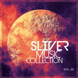 SLiVER Music Collection, Vol.30