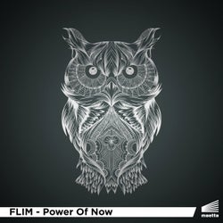 Power Of Now