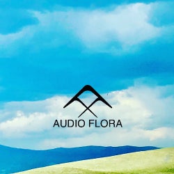 Audio Flora's "Slip Crush Flip" Chart