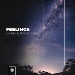 Feelings (Extended Mix)