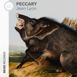 Peccary