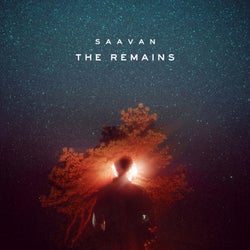 The Remains (A Year's Worth Of Songs)