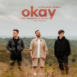 Okay - Afrojack Remix
