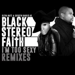 I'm Too Sexy (Touch This Skin) (Remixes)